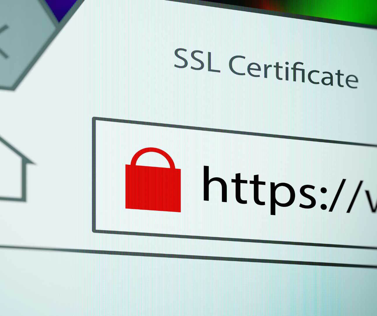 SSL Website