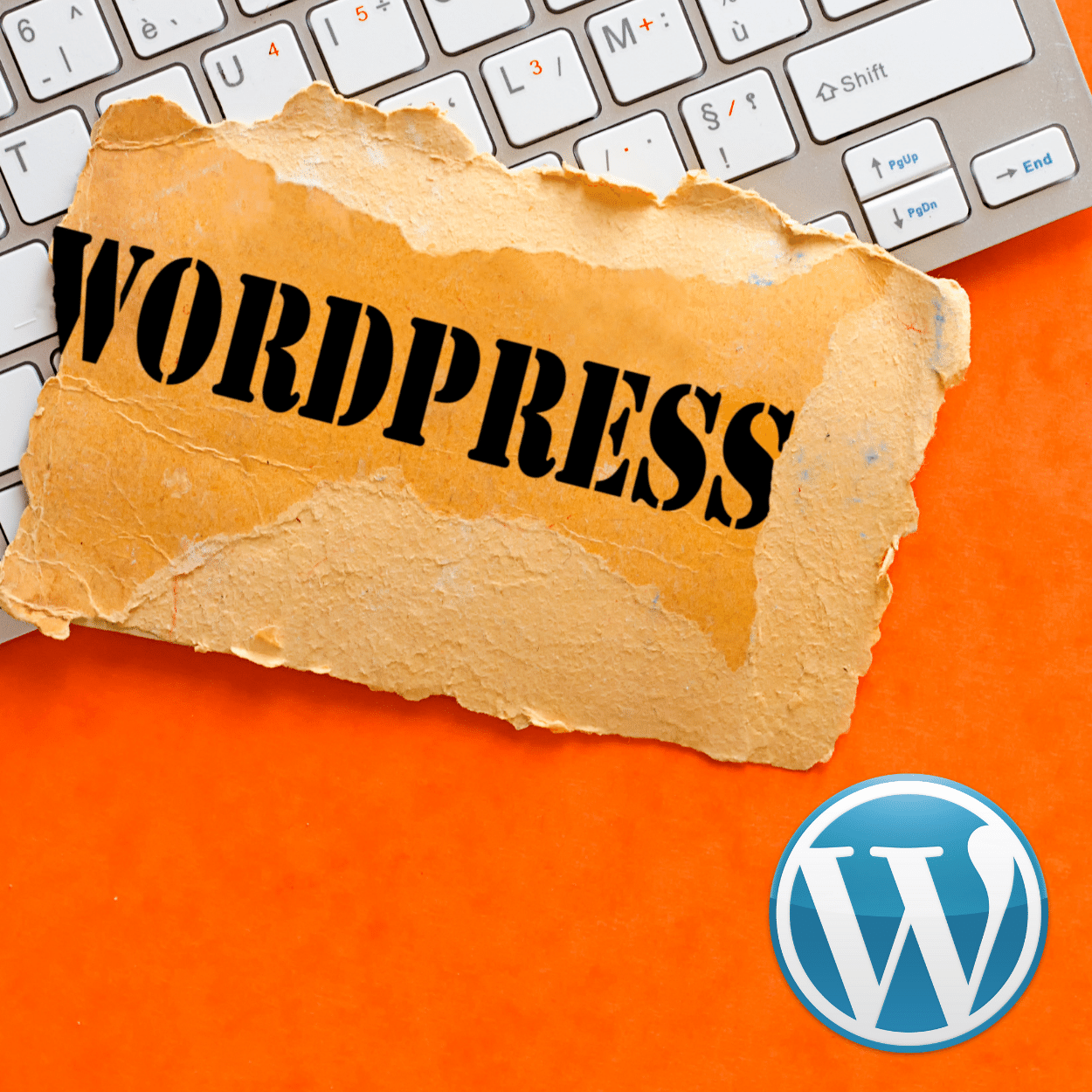 Website Wordpress