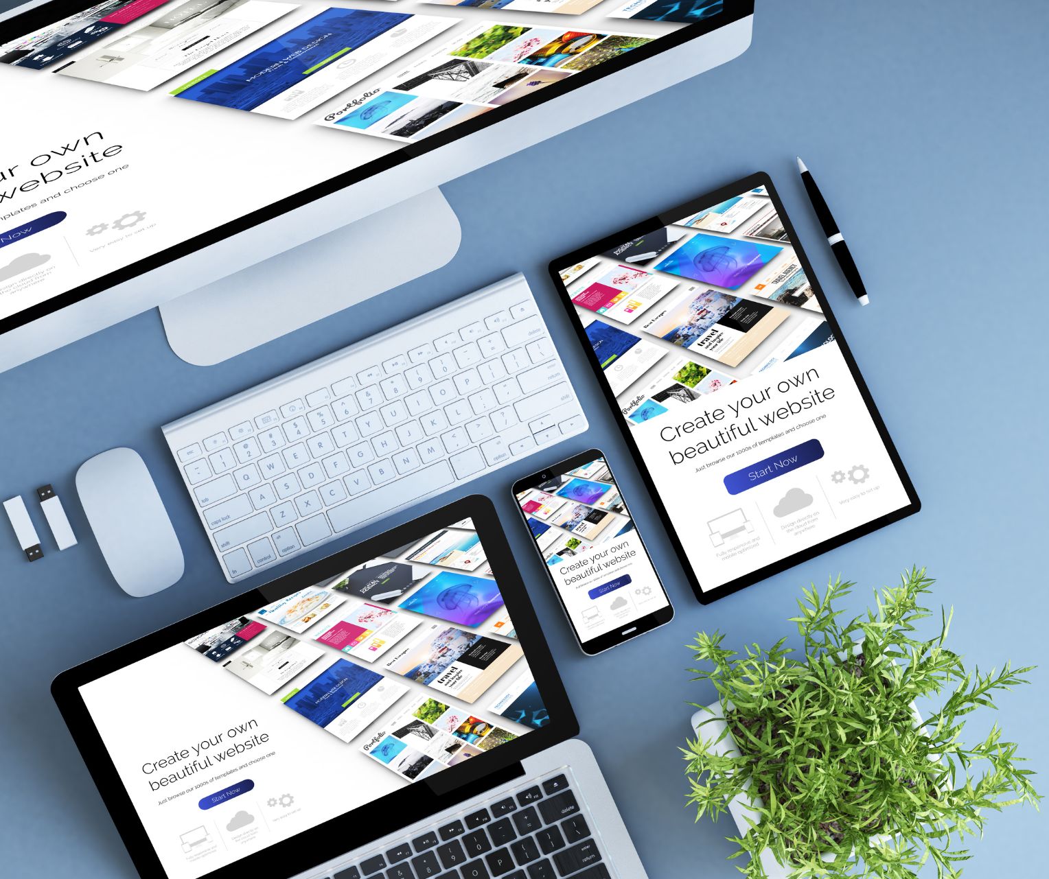 platform web site